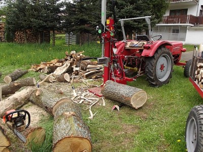 Holz.jpg