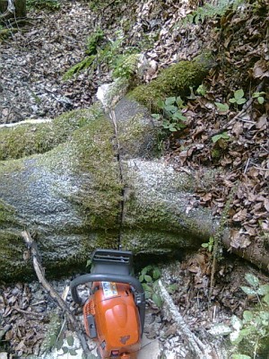 Bild0167.jpg