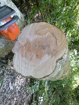 Bild0168.jpg