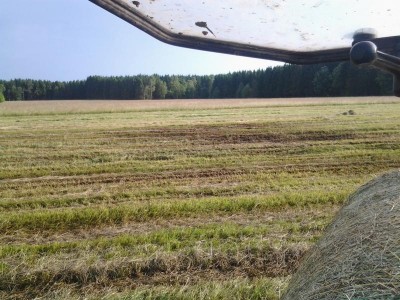 K800_2013-06-18 19.08.44.JPG