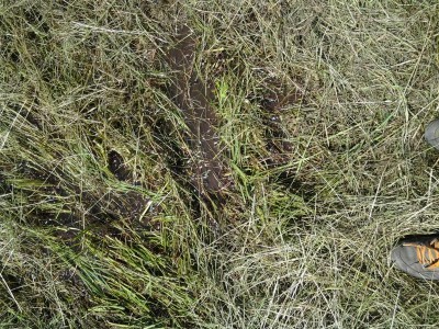 K800_2013-06-17 14.54.39.JPG