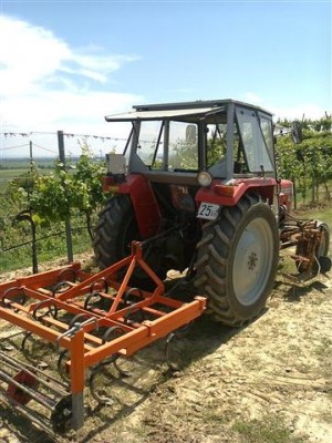 Foto0051 (Klein).jpg