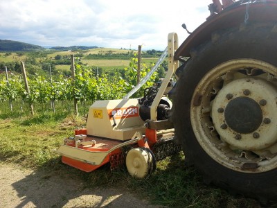 2013-06-21 17.42.10.jpg