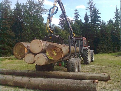 Bild0837.jpg