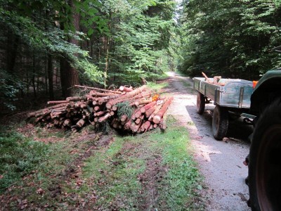 Bildla Nummä 004.jpg