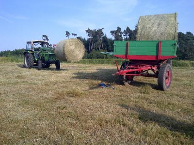 IMG-20130619-00007.jpg