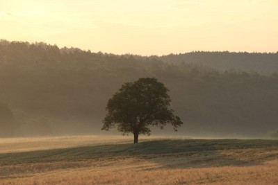 Bildla Nummä 012.jpg