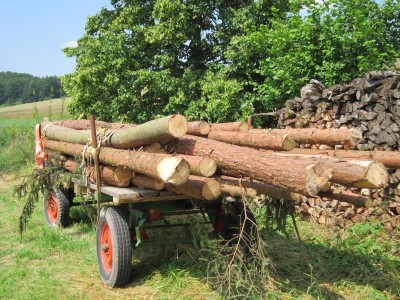 Bildla Nummä 001.jpg