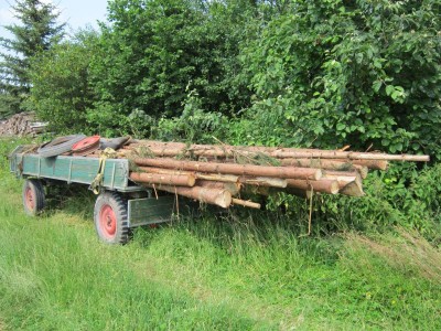 Bildla Nummä 004.jpg