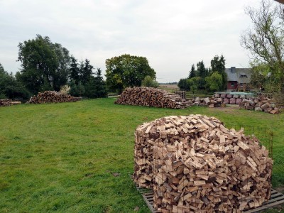 Holz 10.JPG