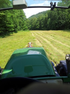 20130705_105446.jpg