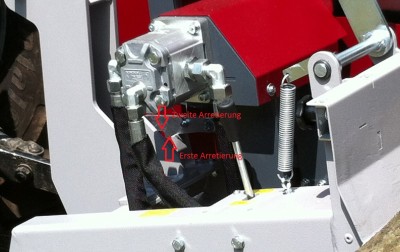 Raste Ausschnitt.jpg