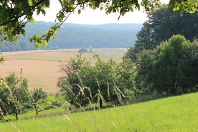 Bildla Nummä 008.jpg