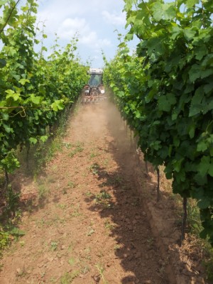 20130715_121402.jpg