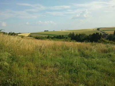 2013-07-18 18.40.49.jpg