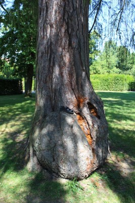 Bildla Nummä 001.jpg