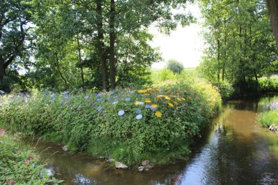 Bildla Nummä 022.jpg