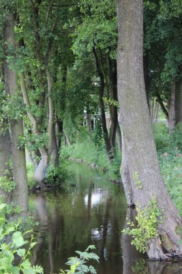 Bildla Nummä 023.jpg