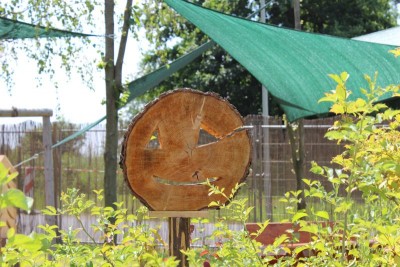 Bildla Nummä 027.jpg