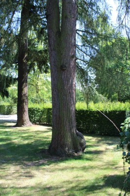 Bildla Nummä 033.jpg