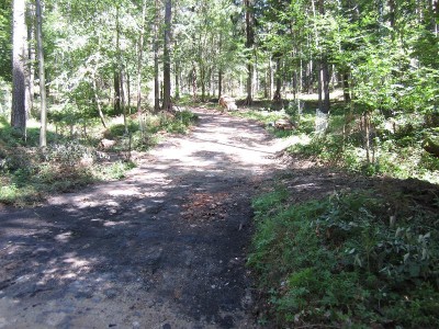 IMG_0595.JPG