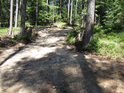 IMG_0601.JPG