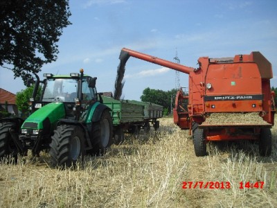 trjmjaiois_cimg7719.jpg