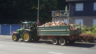 Holz.jpg