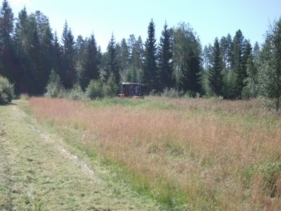 DSCF4203.jpg