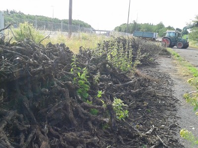 20130731_091723.jpg