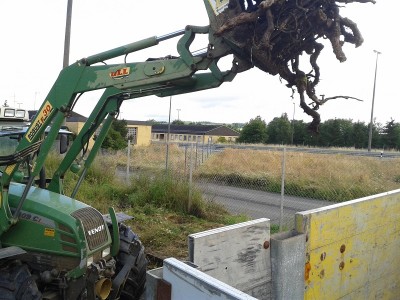 20130731_090857.jpg