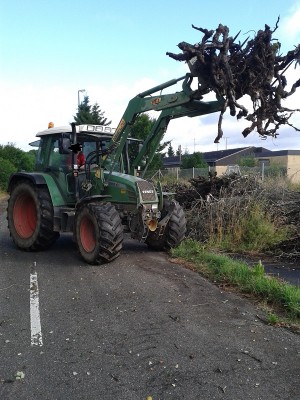 20130731_090312.jpg