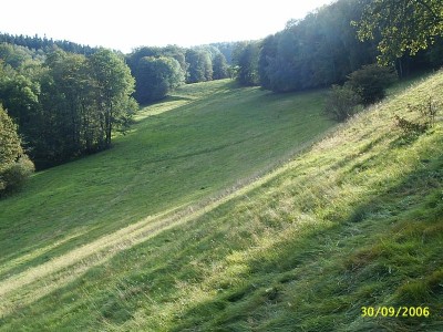Feld1~1.JPG