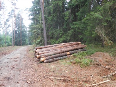 DSCN0600.JPG