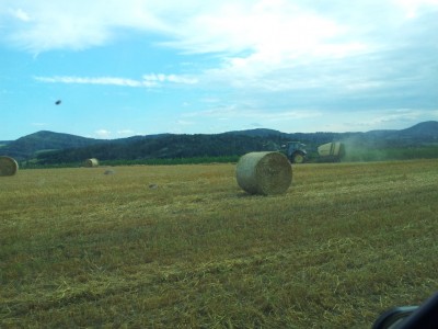 20130812_173624.jpg
