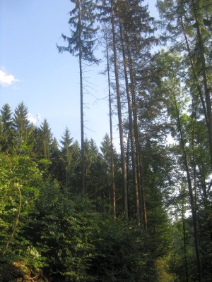 253.jpg