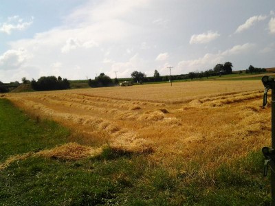 K800_2013-08-06 15.29.02.JPG