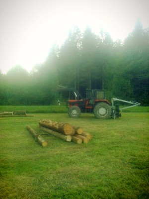 mf wald 2.jpg