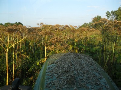 IMG_2952.JPG