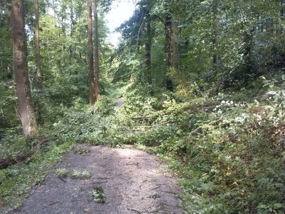 IMG_20130819_155210.jpg