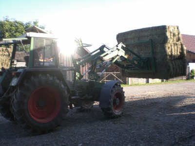 Bilder Oma 016 (800x600).jpg