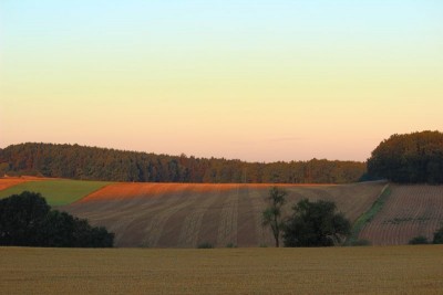 Bildla Nummä 004.jpg