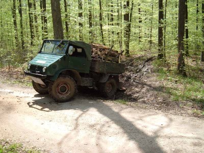 U411Wald_rauskl.jpg