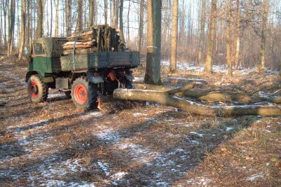 411wald06.jpg
