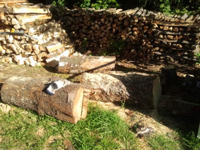 2013-09-06 09.38.29.jpg