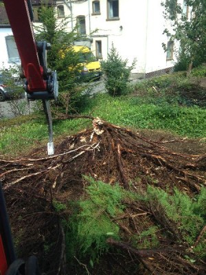 Garten 003.jpg