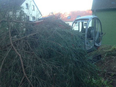 Garten 006.jpg