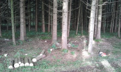 2013-09-10 09.43.25.jpg
