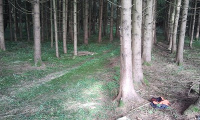 2013-09-10 09.43.47.jpg
