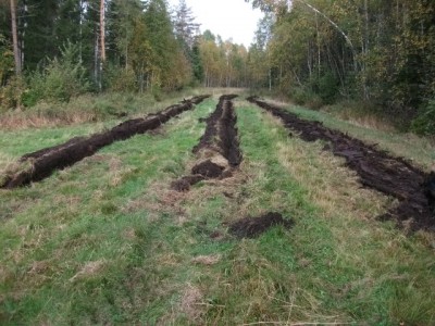 DSCF4258.jpg